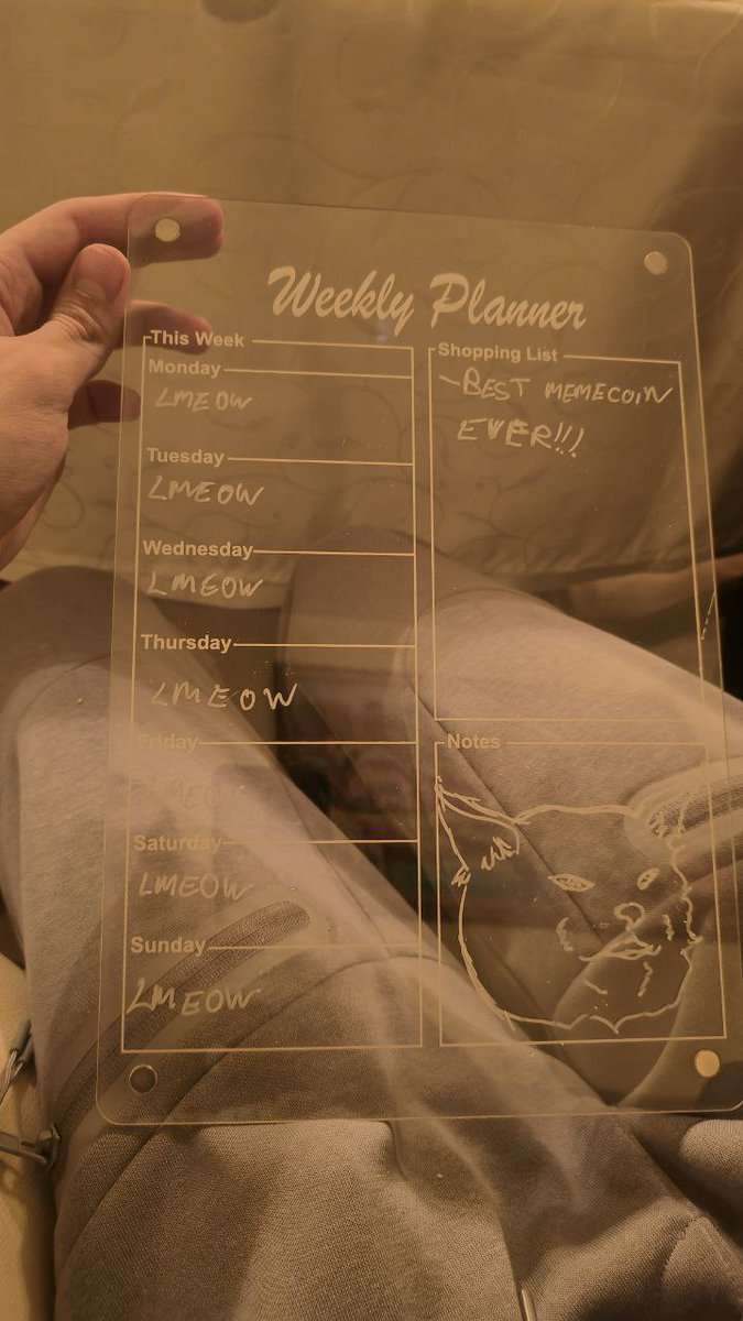 AlexBote06's tweet photo. Rate my weekly planner lmeow 😼 All I want for Christmas is 4.2B $LMEOW.  2026! https://t.co/G4drVNbo9p