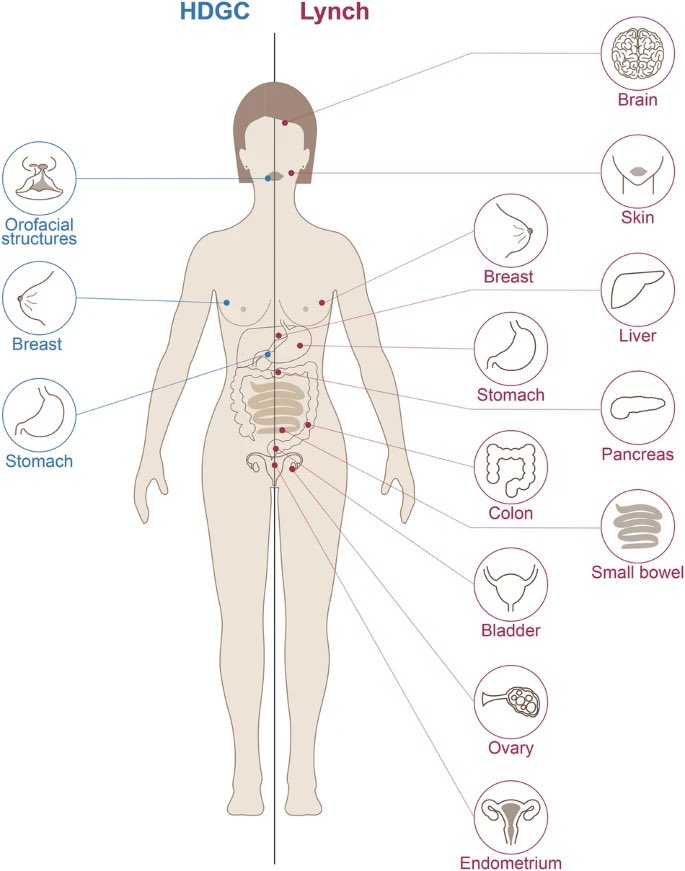Nieves Martinez Lago MD PhD tweet media