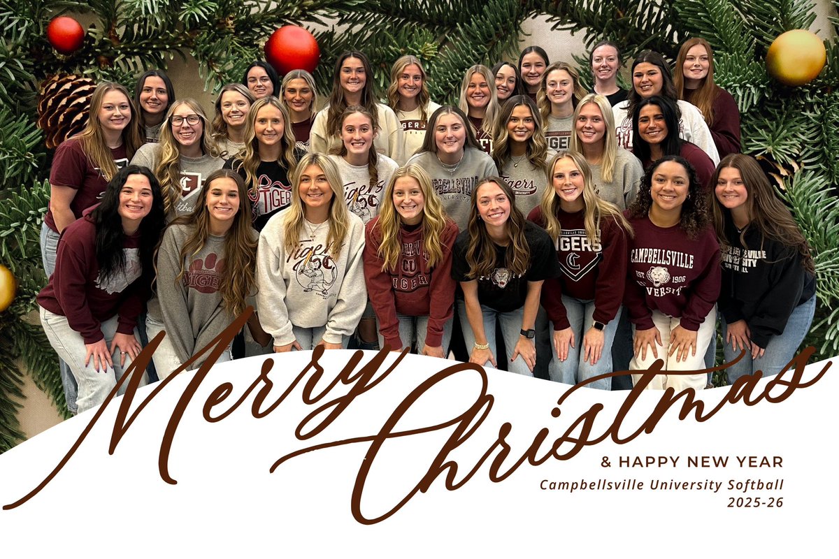 LadyTigerSoftball tweet media