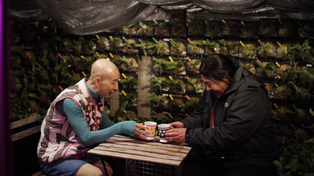 shokubutsu_club's tweet image. ／
ドラマ『変態植物倶楽部』
最終話あす深夜1:30～
＼

メリークリスマス🎄
明日はいよいよ最終話❕

副島(#一ノ瀬ワタル)は、
ビカクシダに乗っ取られ⁈
花畑(#ひょうろく)と新たな友情を結び…

植物好きの方も、初心者の方も皆様でぜひ🌱
TVer🔗tver.jp/series/srvtbke…

#変態植物倶楽部 #悠木碧