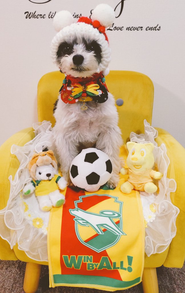 千葉犬 1204_005i.jpg