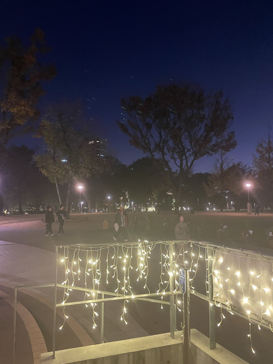 2025のXmasシーズンにいただいたもの🎁✨
この12月は、日頃弾かせていただいているおとつぶハープ山形工房の職人さん、芹澤さんご夫妻のメンテナンス講習会を受けることができ
立奏用の専用ストラップもオーダーメイドしました💕
まゆみさん製作ありがとう❤️
皆さんもXmasシーズン、楽しめましたか？😊