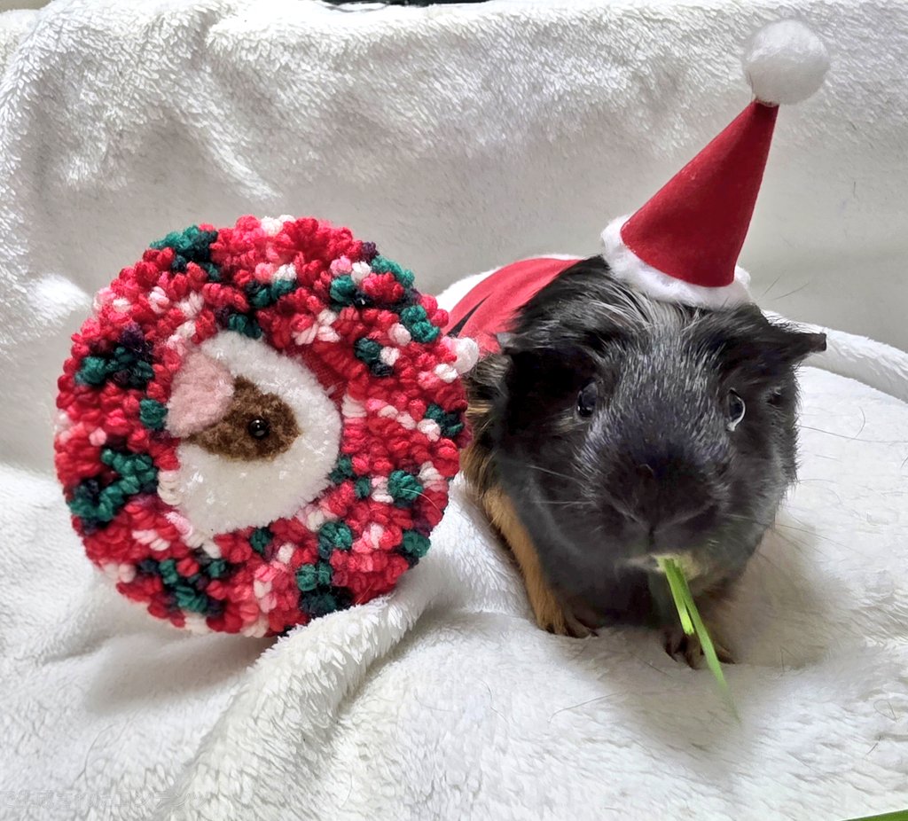 n555 (@Ngxxxii3) / Posts / X