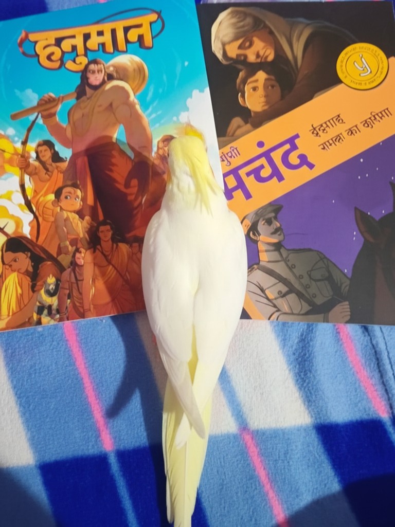 Thank you so much for the lovely books 🤗 <a href="/WestlandBooks/">Westland Books</a> <a href="/Pratilipi_Hindi/">प्रतिलिपि हिन्दी</a> <a href="/ThEbmr/">Ranjeet Pratap Singh</a>