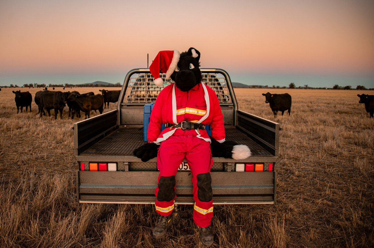 Wish you all a Merry Christmas.