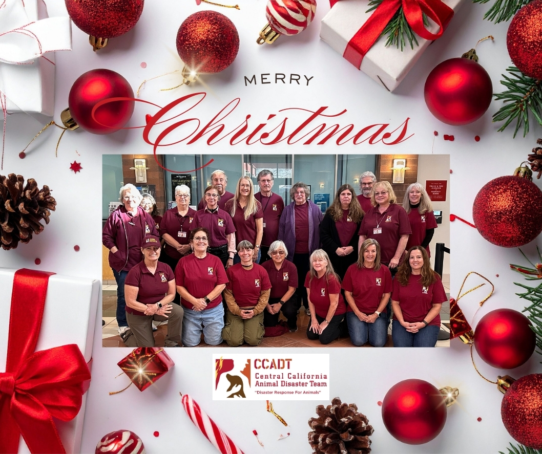 CCADT wishes everyone Merry Christmas!