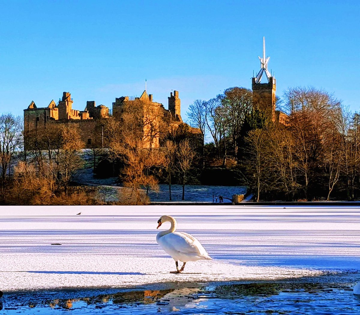 Lisa Stewart tweet media