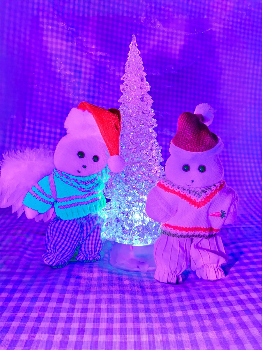 ki_n_ta_ro's tweet photo. きらきらぴかぴか　だね　꙳⋆࿄ཽ·˖* ᔦᔧ₍ᵔ· ̫·ᵔ₎ https://t.co/3ClZSkqgoU