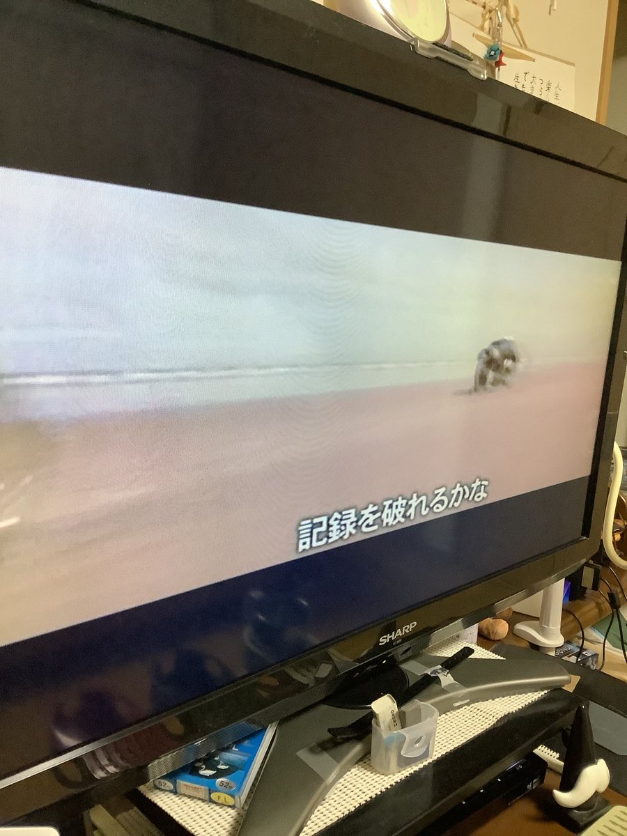 Hase (@haseyan01) / Posts / X