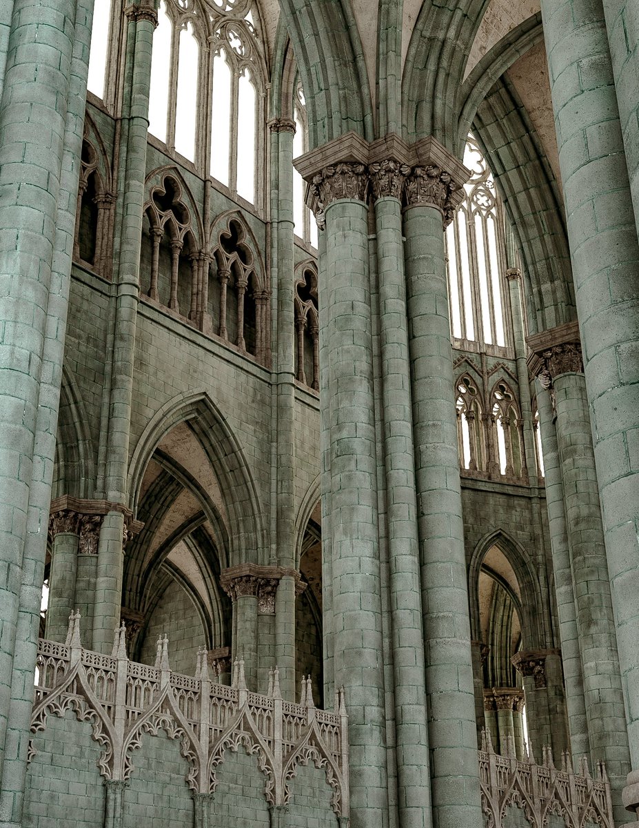 hbitproject tweet media