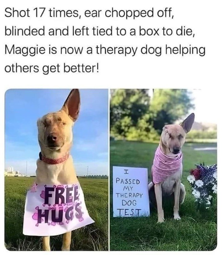 Beyond_theleash's tweet photo. https://t.co/I3exWrxsOk