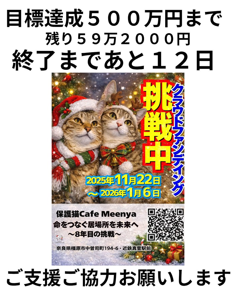我が家の猫たちの実家になります😽 これから寒さが厳しくなります🤧 外