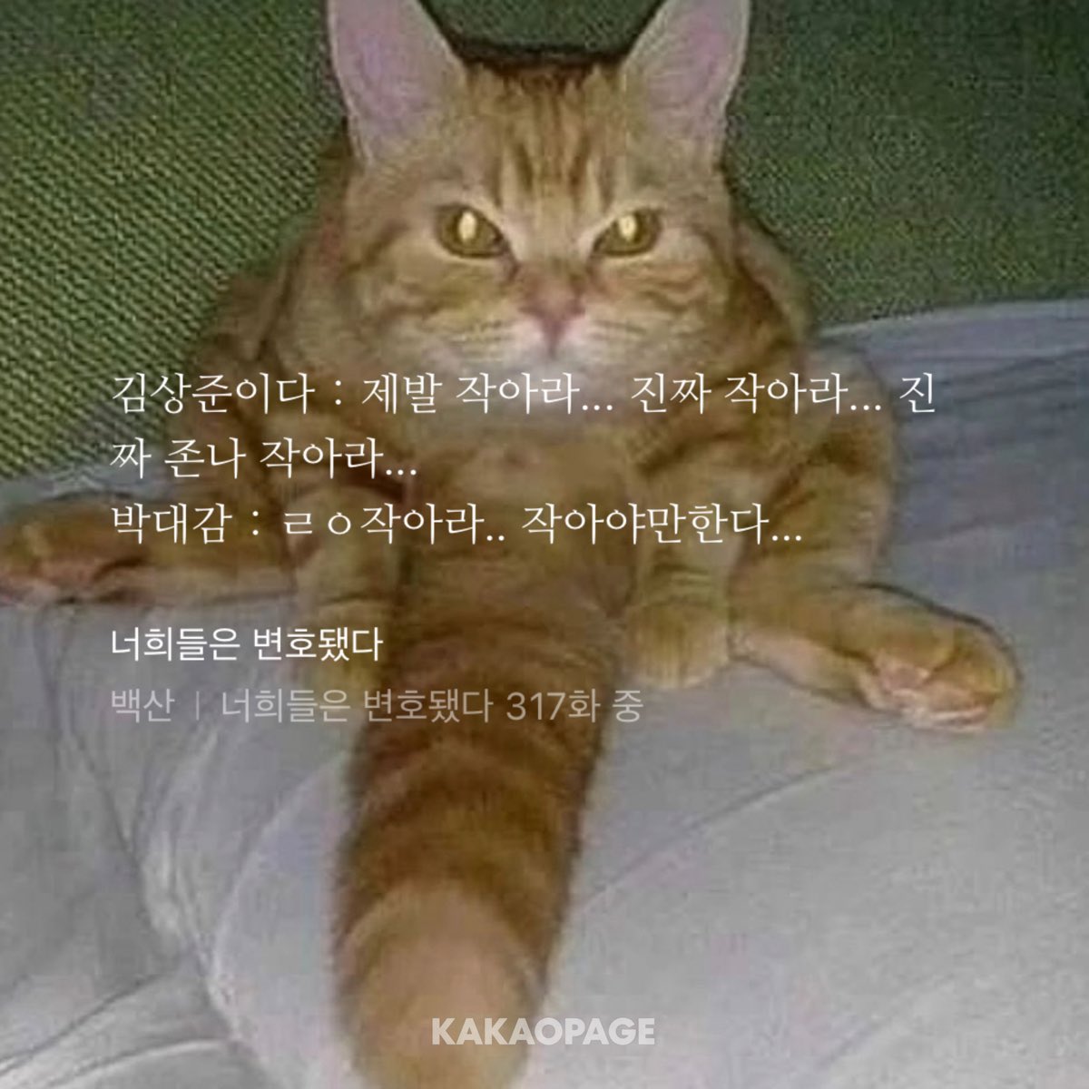 네짱 tweet media