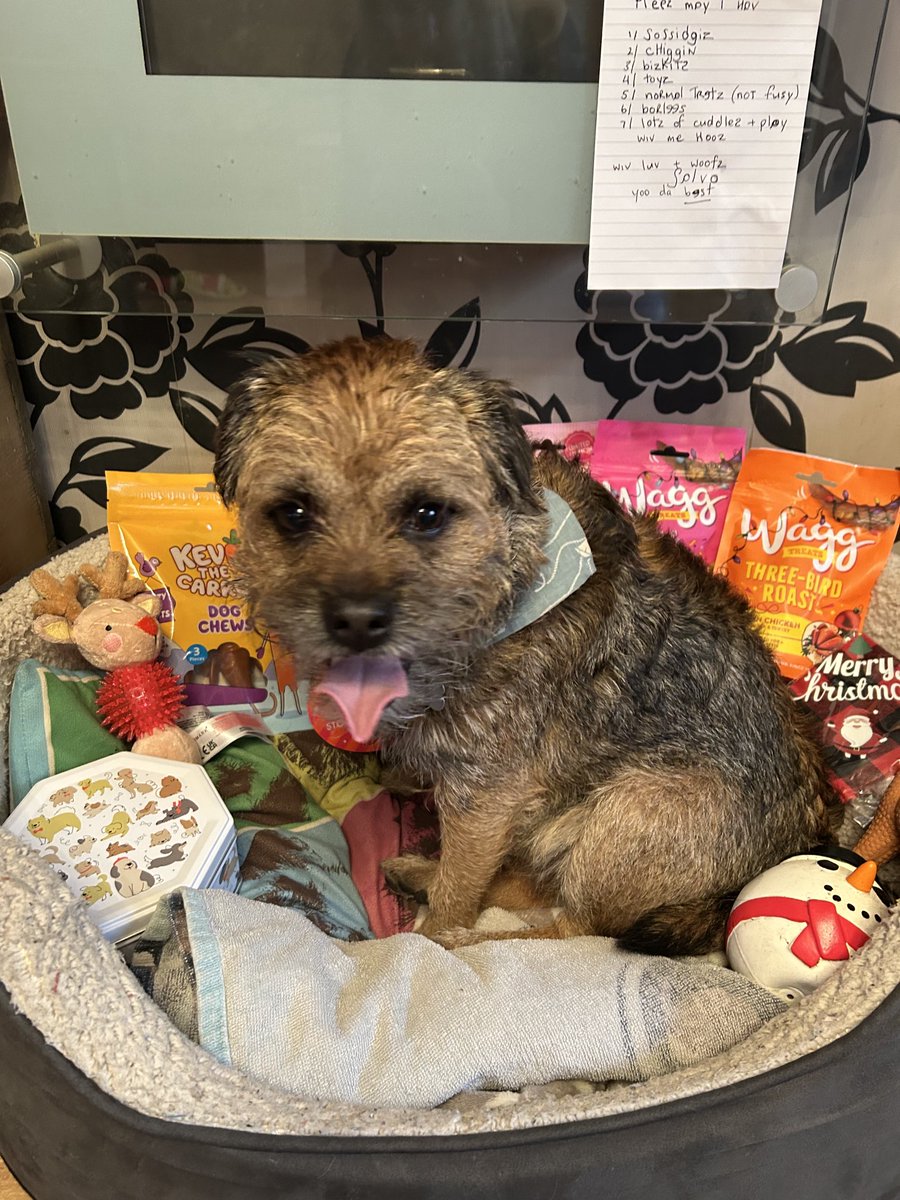 salvo_bt's tweet photo. Dis years pressies #BTPosse #lukkypup https://t.co/QVJ4bKxwPt