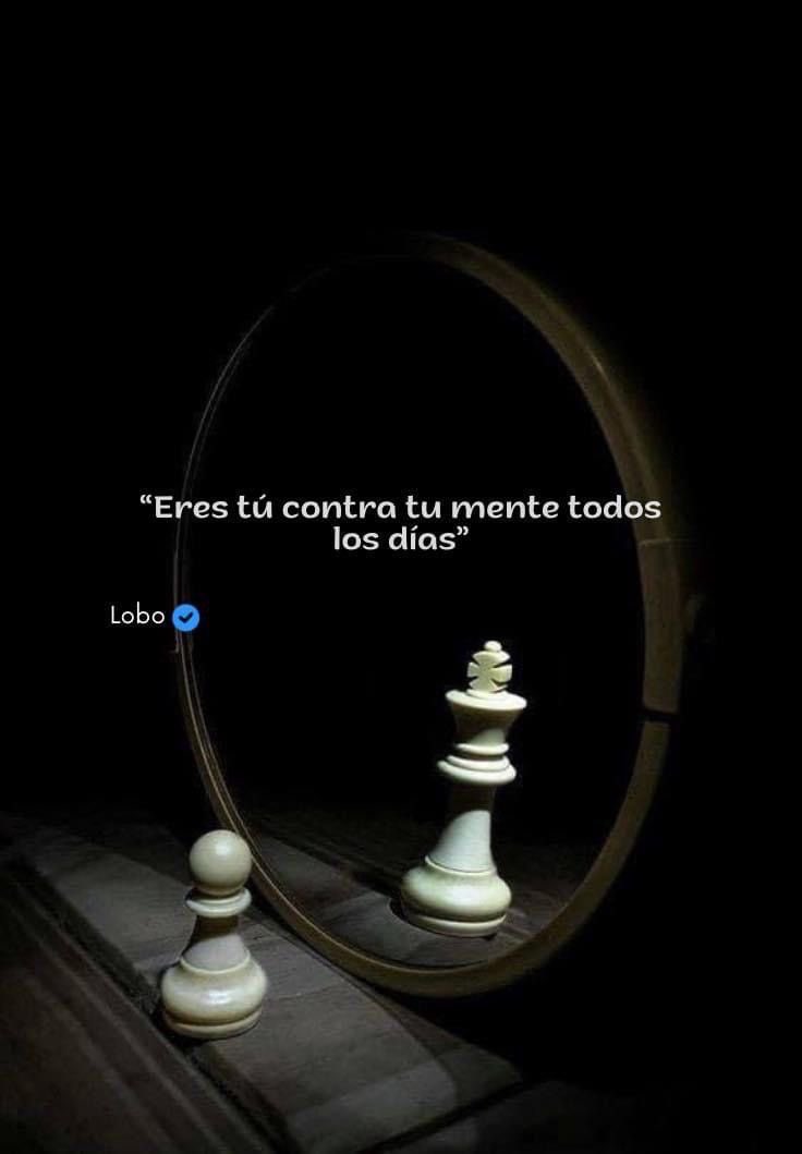 Disciplina (@eligedisciplina) on Twitter photo 