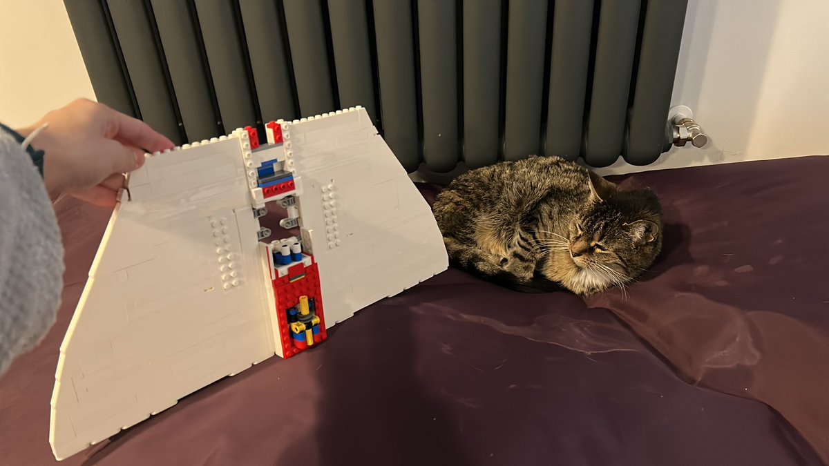 Elinha⁶ ⁸¹𝜗𝜚⋆₊˚ 🪽91w pilled tweet media