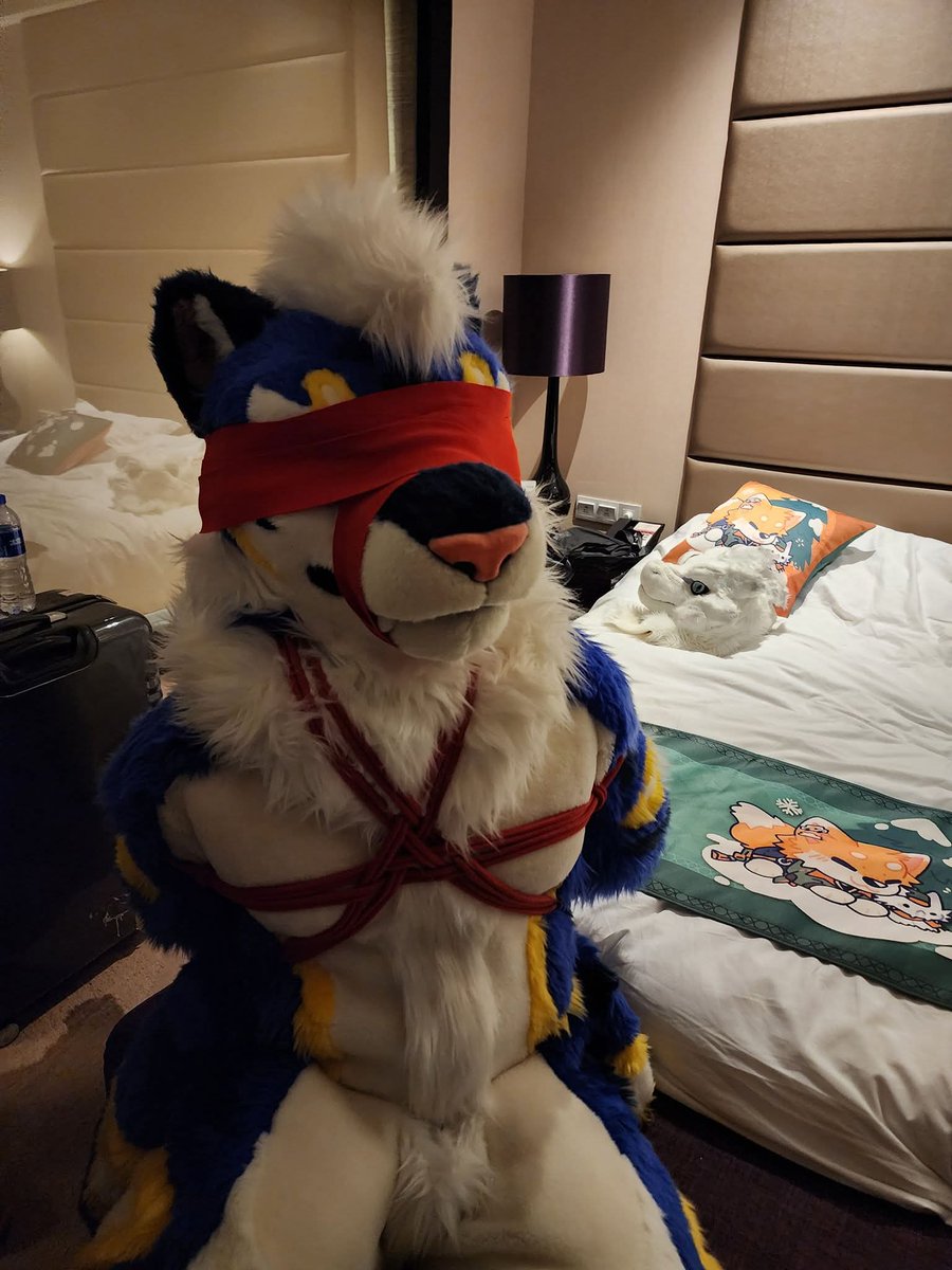 ~閒狼的世界~2026 UTFG tweet media