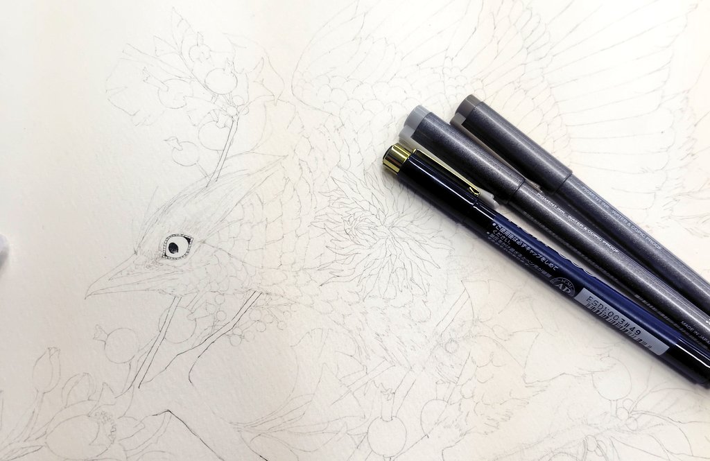 やっと線画の終わりが見えてきた…
ほんとに参考資料無さすぎて翼の形はキジを参考にしました
近隣種だから体のつくりは同じ…はず🙃