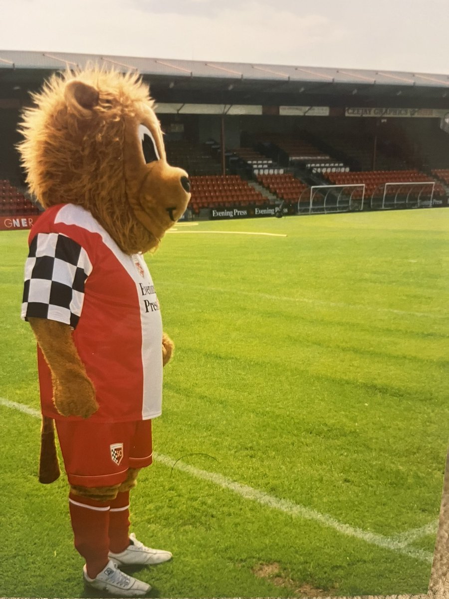 The Original Yorkie tweet media