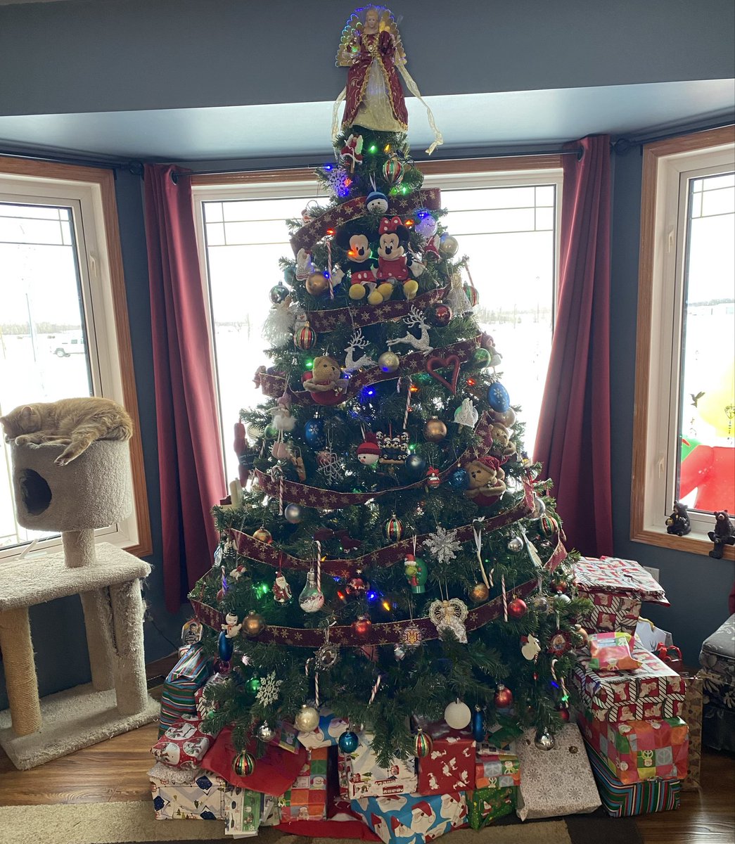 Merry Christmas to all of my Twitter friends and family I hope you have a great day