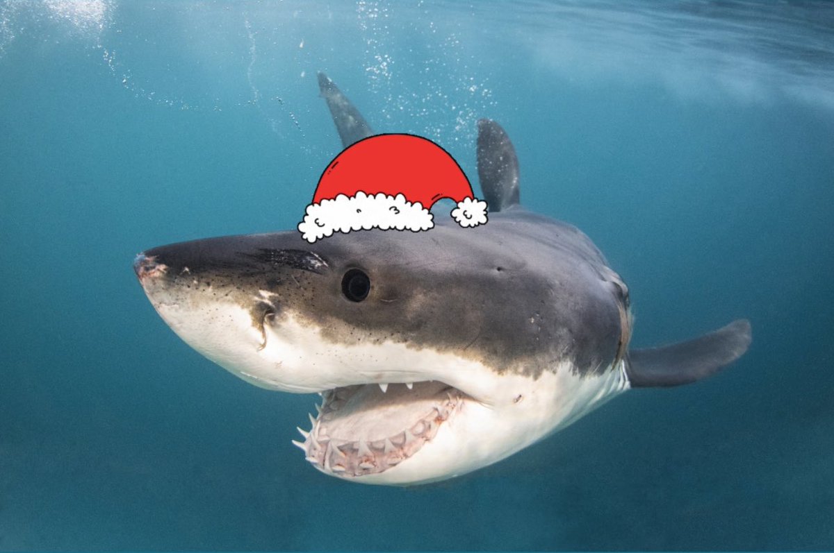 Saving the Blue tweet media