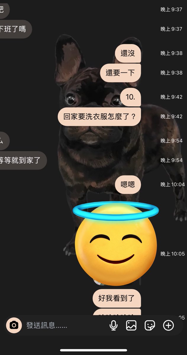 Aki14334's tweet photo. 這是主人的等等到家
呃～大概已經1個半小時左右過去了
我洗完澡擦完相機p■qω・´)
他還沒到家 (¬_¬)ﾉ
大概躺在哪個野女人的懷裡睡覺吧
身為一個被經痛與頭痛雙折磨的狗
本狗還是頭髮整理整理等等睡覺去
［●＿●］
@armyblackdog https://t.co/d1AahTMIMj