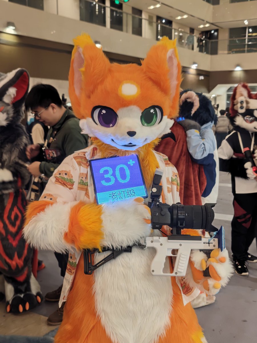Gomeow·金桔·柠檬茶 tweet media