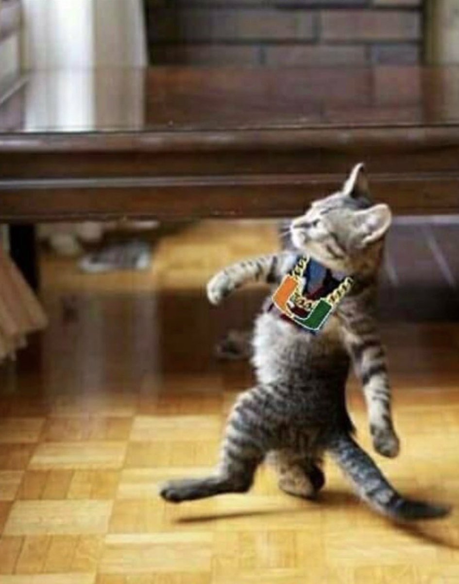 DaysofBeauty's tweet image. Haters gonna hate