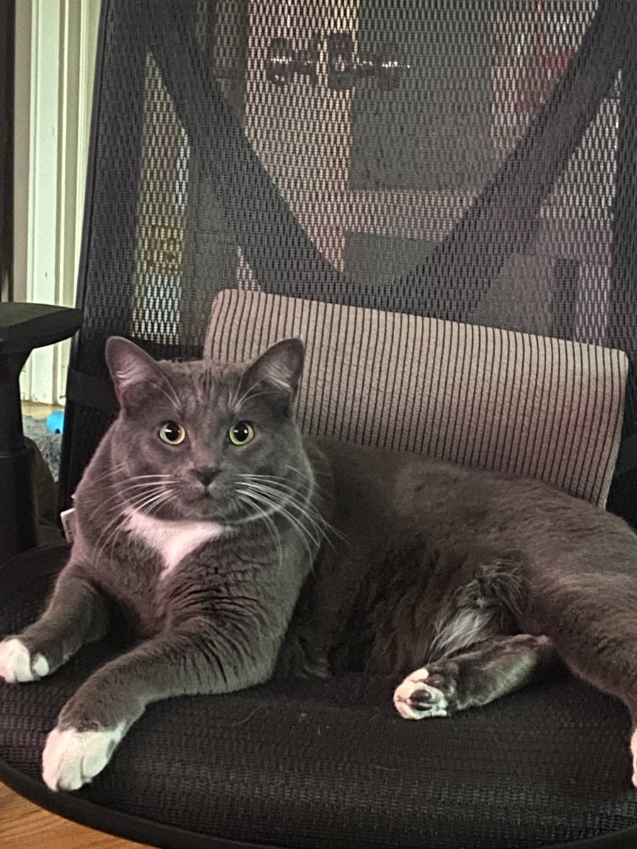 Michael Abood tweet media