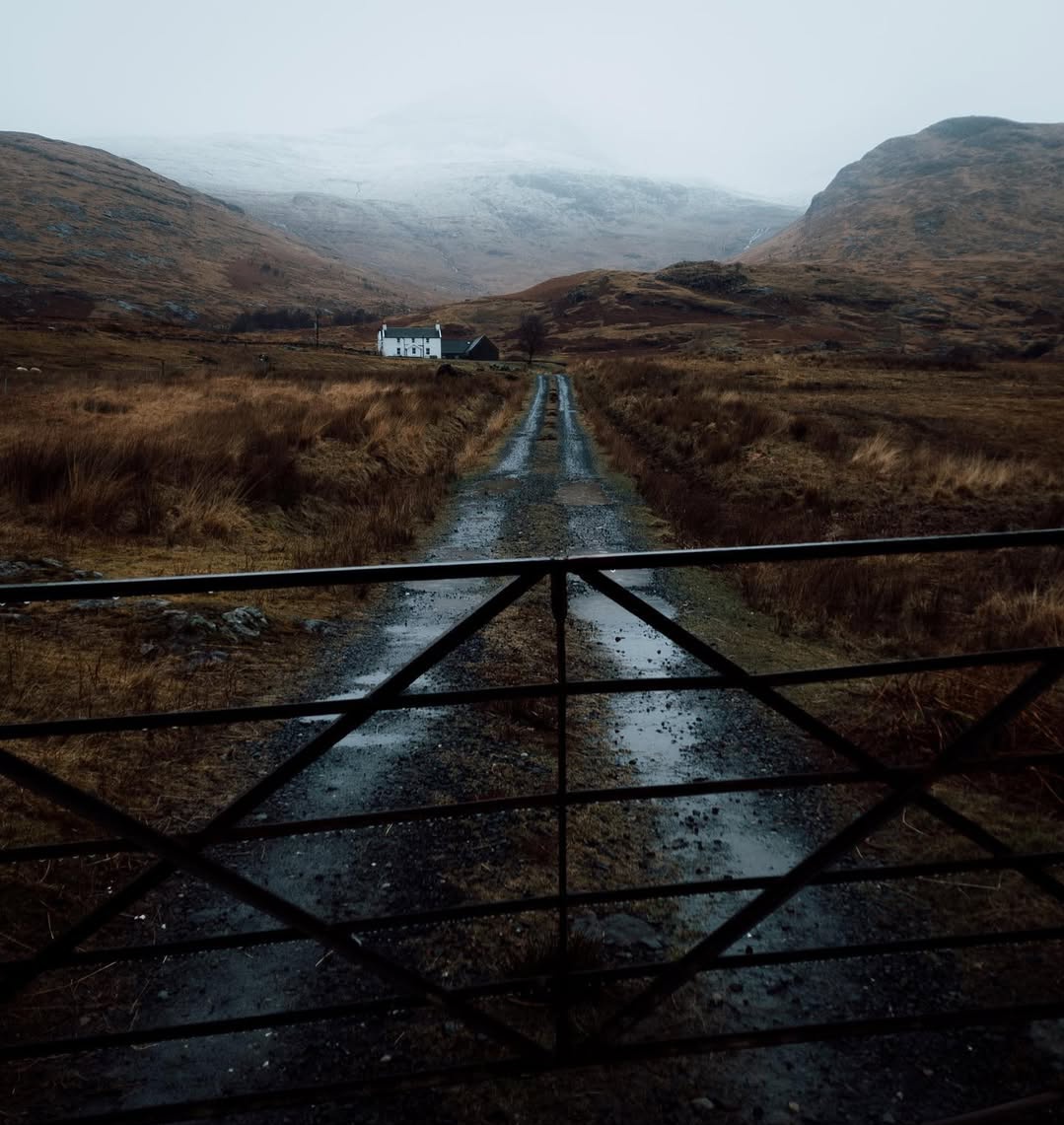 𝘄𝗮𝗻𝗱𝗲𝗿𝘁𝗿𝗮𝘃𝗲𝗹𝘀 tweet media