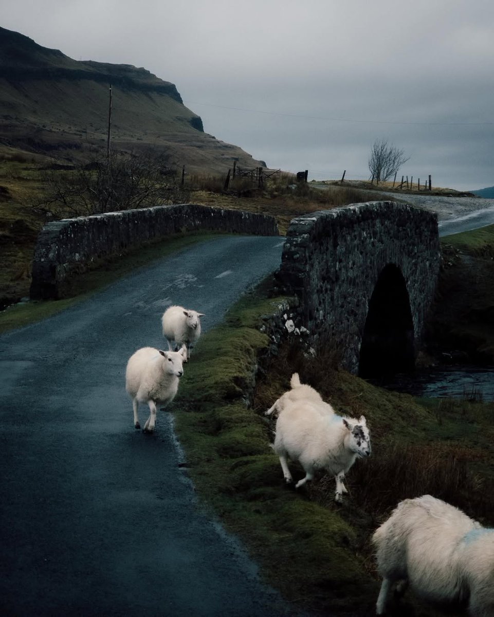 𝘄𝗮𝗻𝗱𝗲𝗿𝘁𝗿𝗮𝘃𝗲𝗹𝘀 tweet media