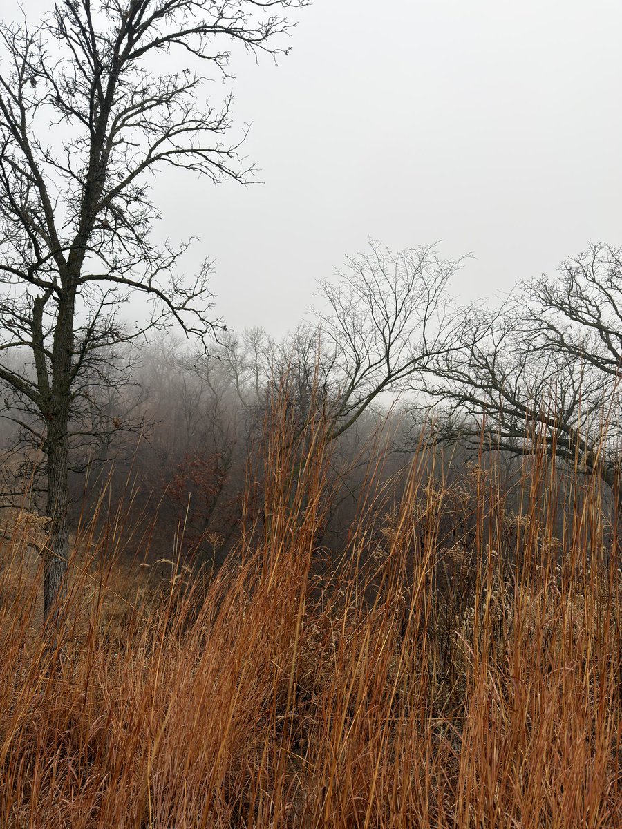 merry christmas from the great plains