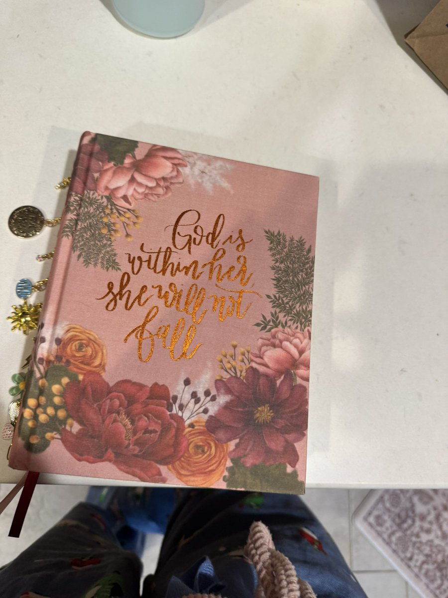 KaylaMcDaniel3's tweet photo. My mil got me the most beautiful Bible for Christmas 🥹 https://t.co/O8krBjWm2o