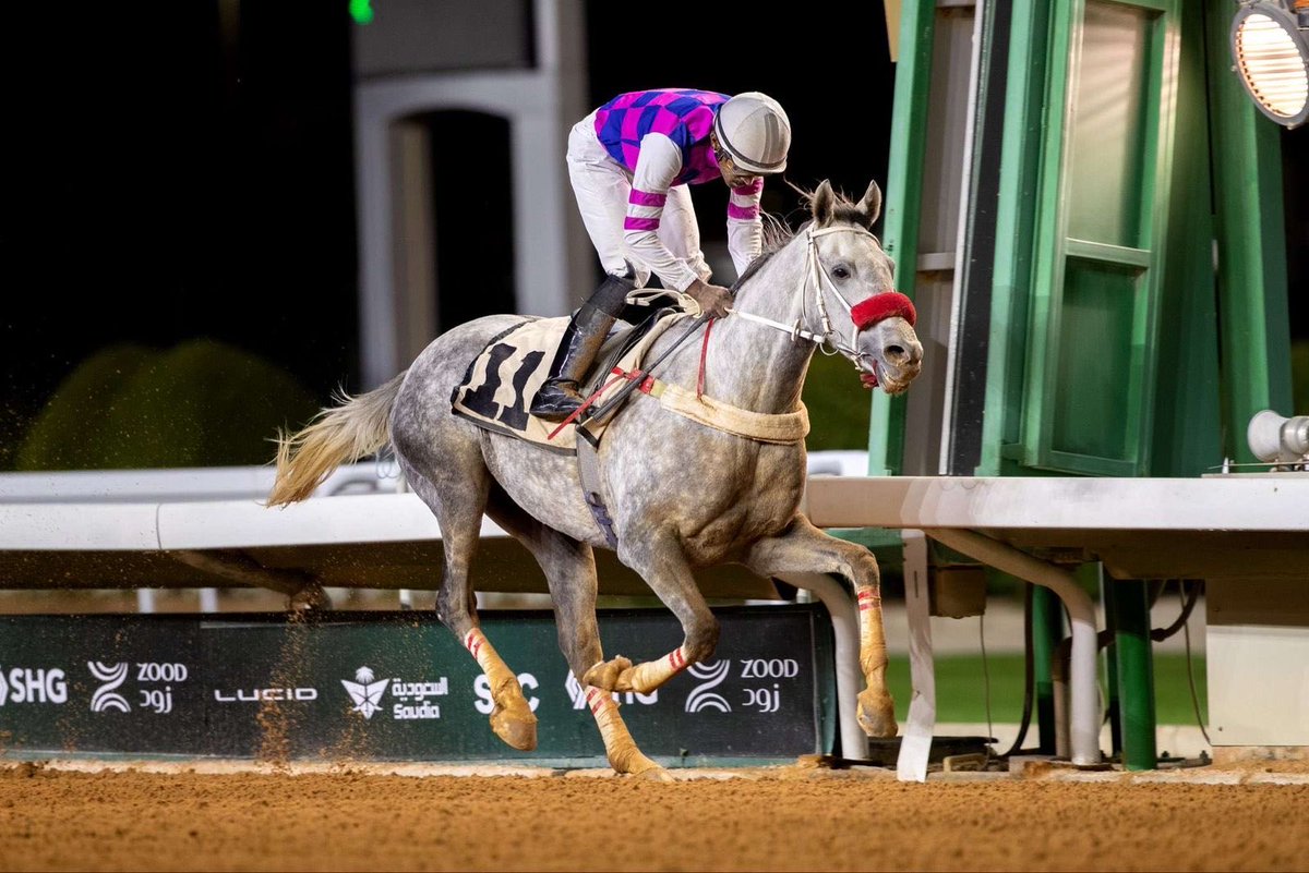 خالد بن زيد الرويضان (@kzrsaudi) on Twitter photo 