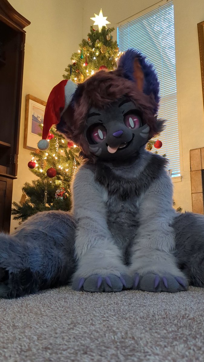 🌌Cyber Kitty🧶 🔜 FC tweet media