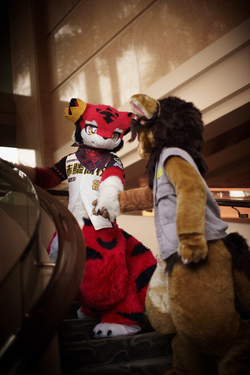 小菊发w tweet media