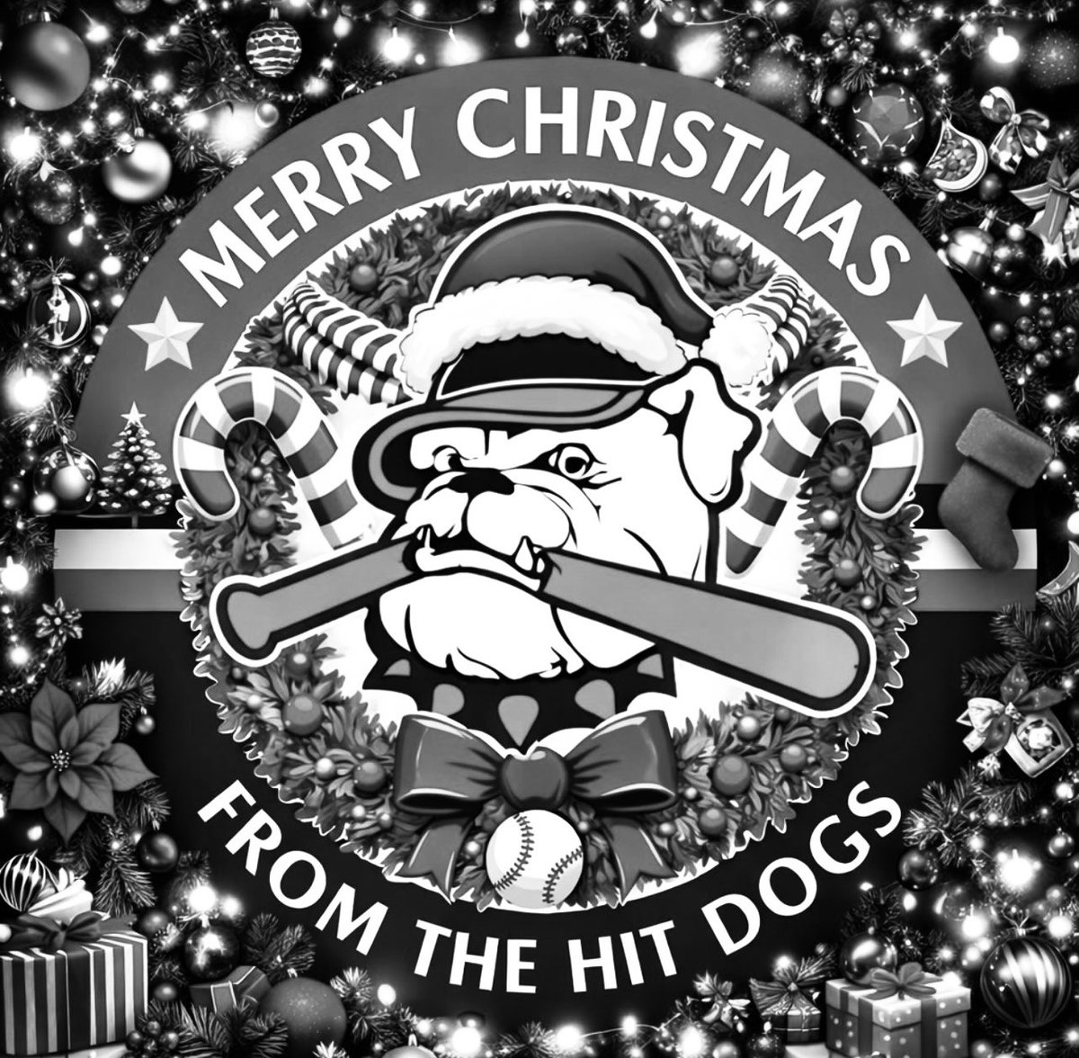 Ohio Hit Dogs Black tweet media