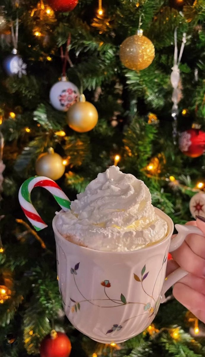 fixitfig's tweet image. merry christmas kub mina san