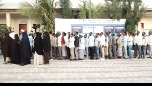 FaisalAHassan's tweet image. What an incredible milestone for Somalia! This historic day marks municipal elections for the first time in 56 years, since 1969! Wishing all candidates standing for Gollaha Deegaanka the best of luck #Benadir #Somalia #DemocracyInAction @US2SOMALIA @ChineseSomalia @TC_MogadisuBE