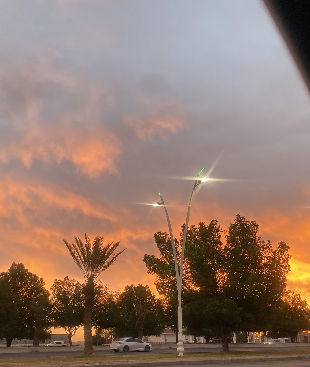 Haifa Alhawiti tweet media