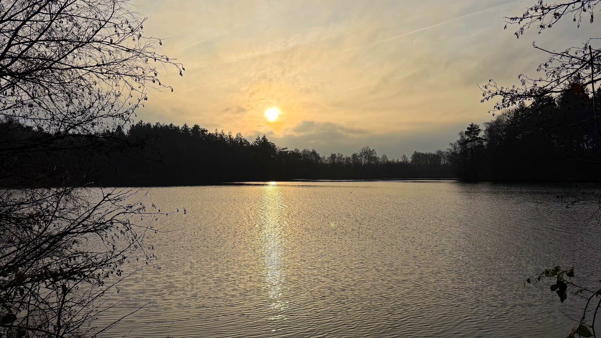 WalkingRoel's tweet photo. Hierbij deel 1 van de #FotoTop12 van mijn #Twentepad-wandeling van afgelopen maandag  (22-12-2025) in
@ProvOverijssel, van #Oldenzaal naar #Hertme: https://t.co/5wlcJWO5GN