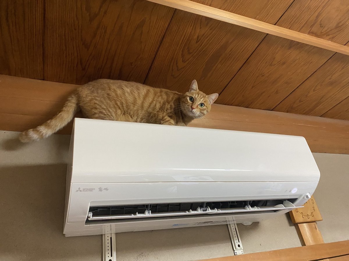 FT しのめぐううう tweet media