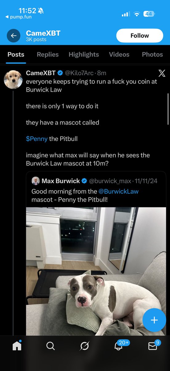 slingoor tweet media