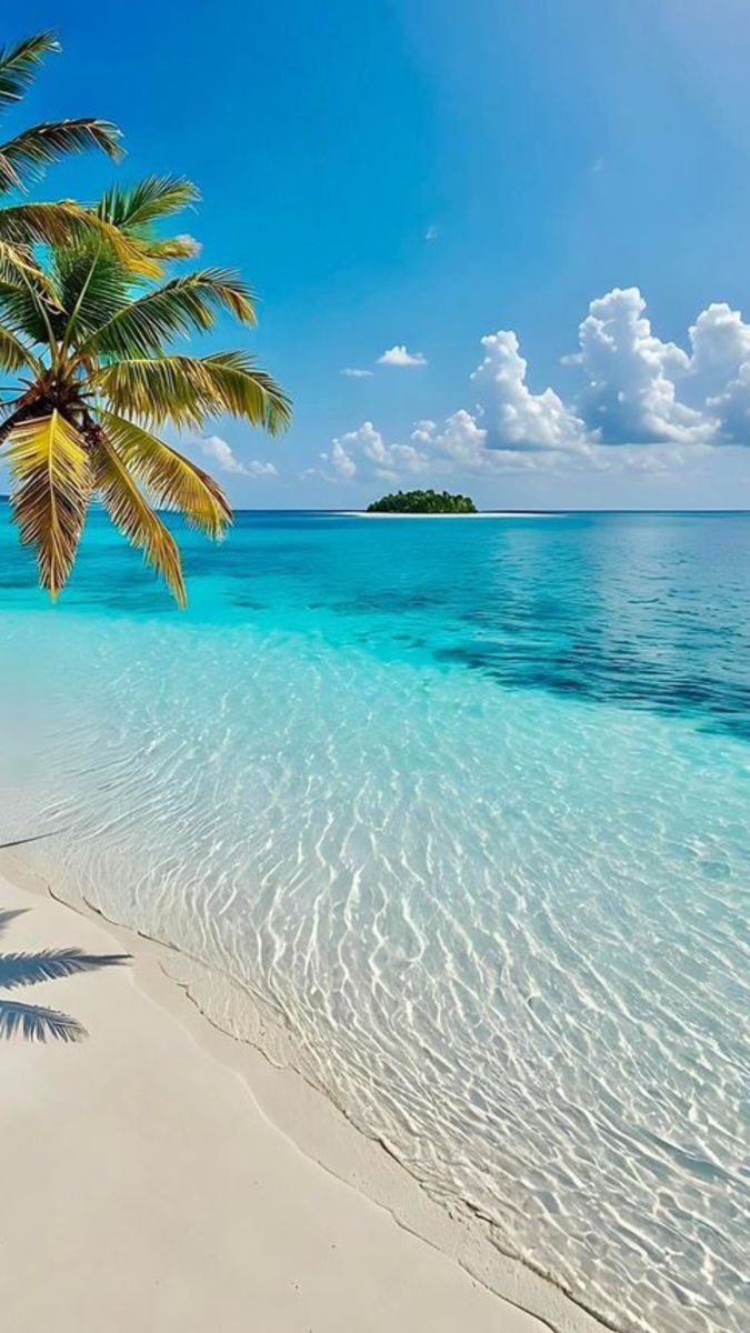 TheWaterDiaries (@water_diaries) on Twitter photo 