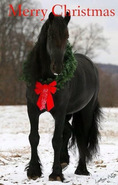 CowboyLogic_RAV's tweet photo. Yes! #MerryChristmas but soon #LetsGetGoing!
@GenFlynn
@AGPamBondi
@RealAlexJones
@PatrickByrne
@JovanHPulitzer
@RealAmVoice https://t.co/LYwCddqIrn