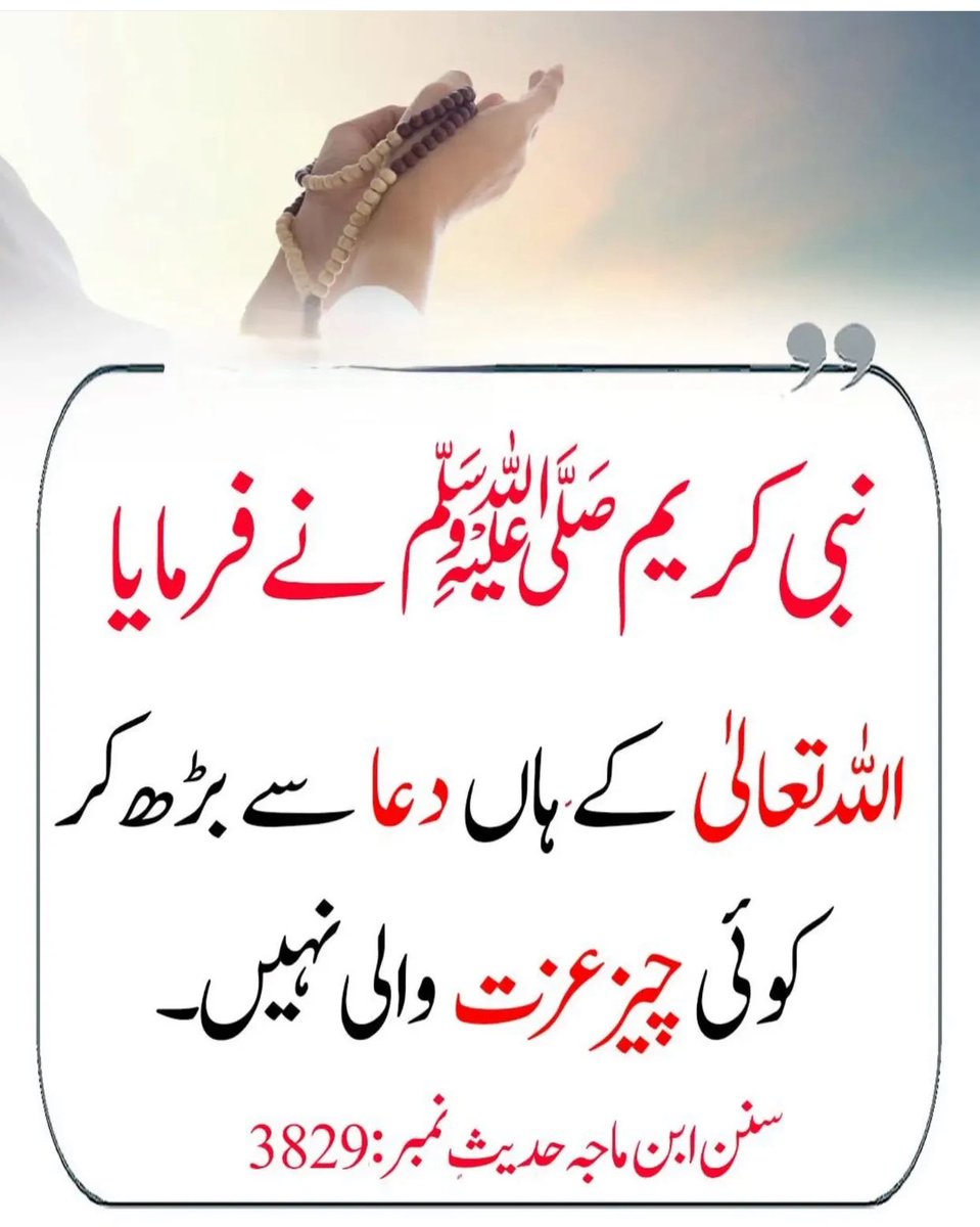 CivilSupermacy's tweet photo. فرمانِ نبوی ﷺ https://t.co/EmgurHdBwB