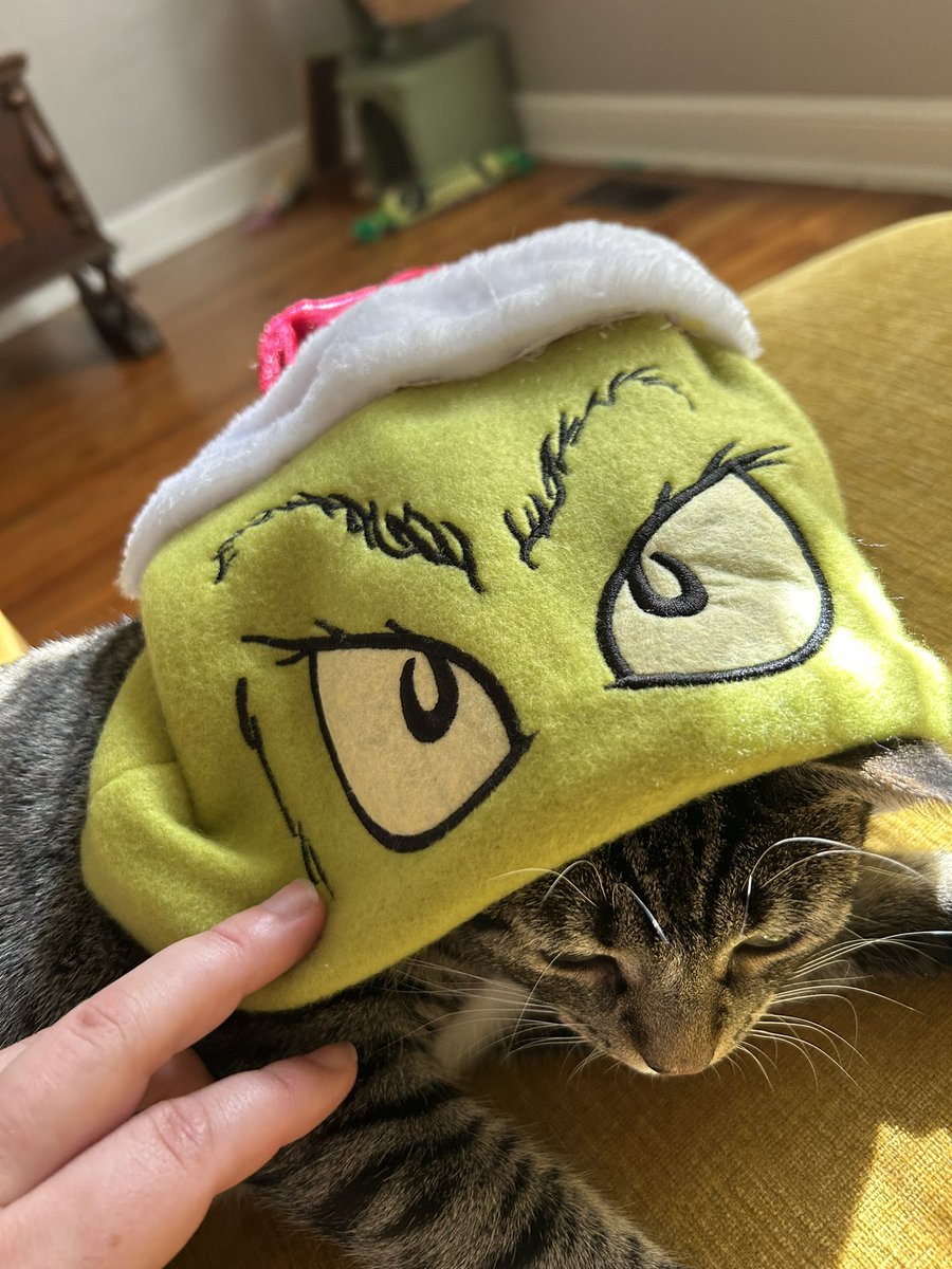 em_fran16's tweet photo. Merry Grinchmas from my cat! https://t.co/U6esY7HM6m