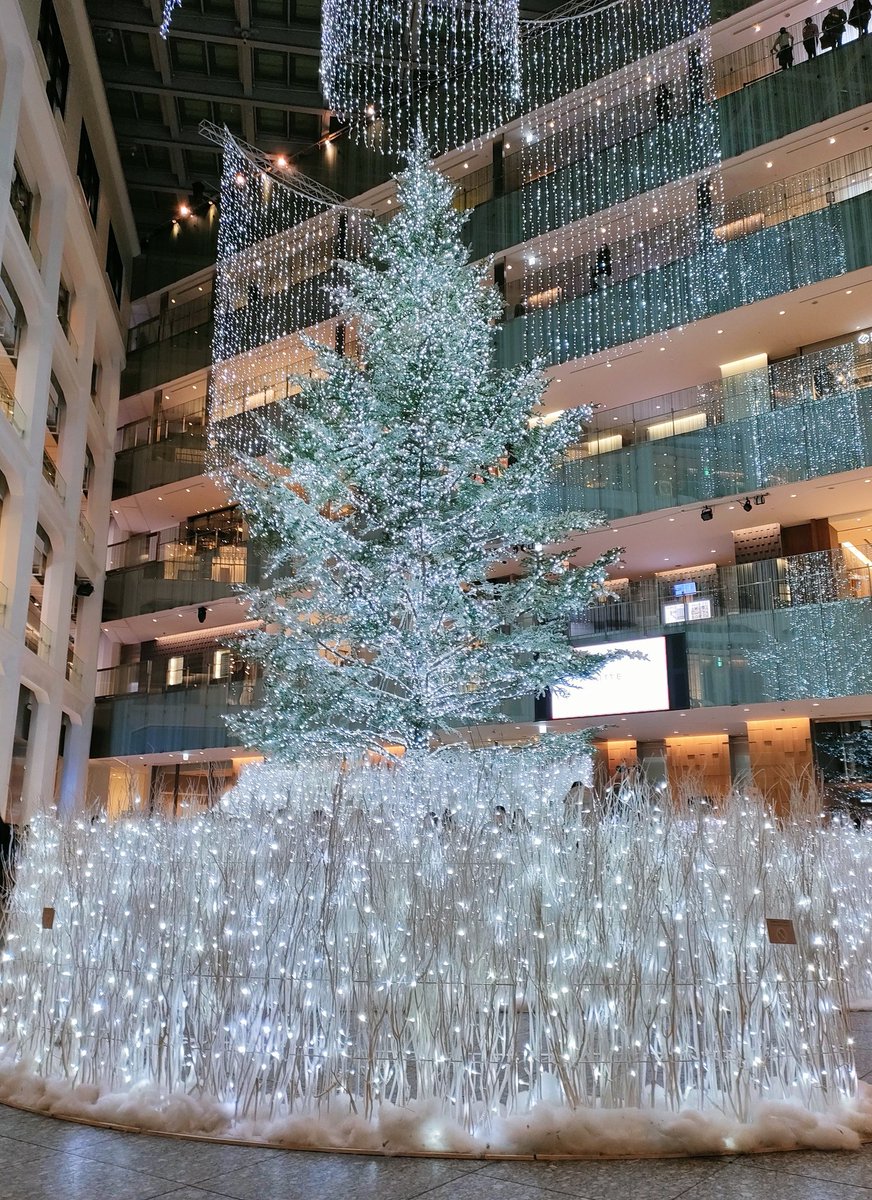 ejIpNY7x5sRAtAT's tweet photo. クリスマスの余韻🌲❄️
白銀の世界に包まれて、静かに輝く時間でした**.✼ ゜
#Christmas #丸の内 #WHITEKITTE
#イルミネーション #冬景色 https://t.co/uDXPcjWUCP