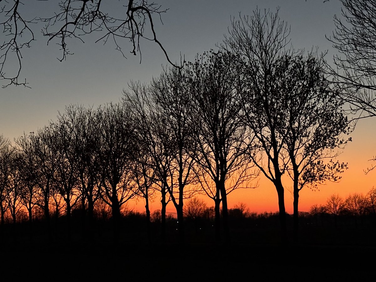 Lisa Westerveld 🟥 tweet media