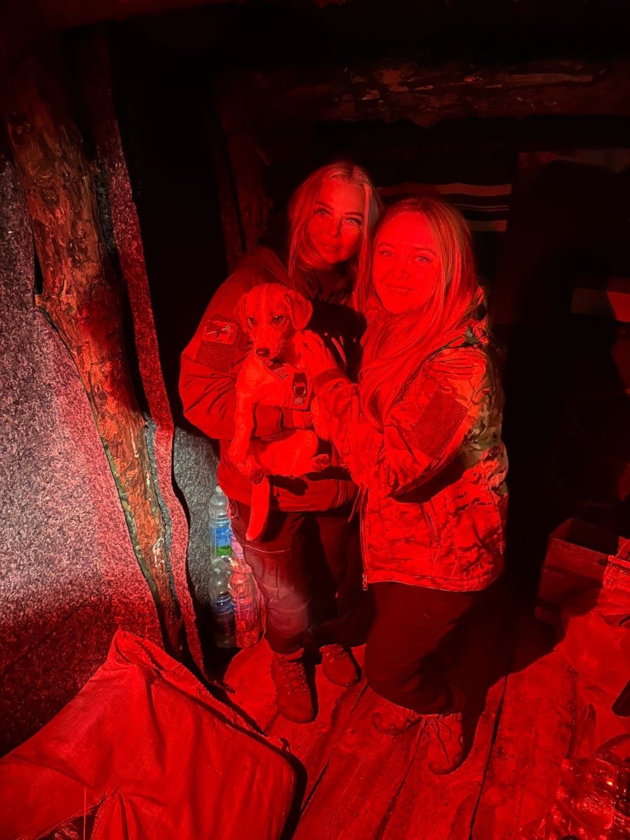 Anna Filippova tweet media